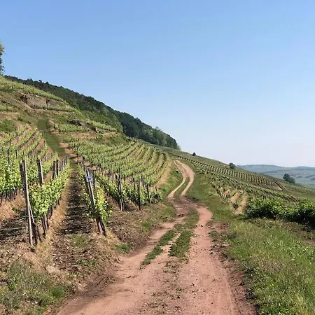 Chez Maria Apartmán